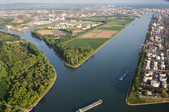 Aerial view of Island on the banks of the river course of Rhine river and of the old Rhine in the district Friesenheimer Insel in Mannheim in the state Baden-Wurttemberg, Germany