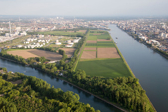 Aerial view of BASF Friesenheim in the district Neckarstadt-West in Mannheim in the state Baden-Wuerttemberg, Germany