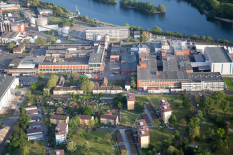 Aerial view of Essity in the district Sandhofen in Mannheim in the state Baden-Wuerttemberg, Germany