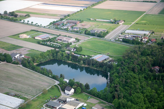 Fishing lake ASV Lorsch Einhausen in the district Hüttenfeld in Lampertheim in the state Hesse, Germany
