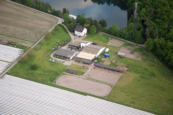 Buchenhof farm shop in the district Hüttenfeld in Lampertheim in the state Hesse, Germany