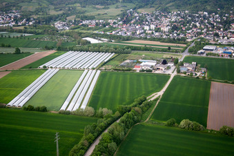 Oblique view of District Auerbach in Bensheim in the state Hesse, Germany