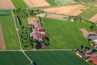 Crößmann Riding Stable in Pfungstadt in the state Hesse, Germany
