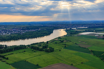 Aerial view of Nature reserve Riedwiesen of Wächterstadt on the banks of the Rhine in the district Leeheim in Riedstadt in the state Hesse, Germany