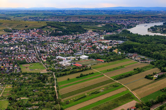 Integrated Comprehensive School An den Rheinauen in Oppenheim in the state Rhineland-Palatinate, Germany