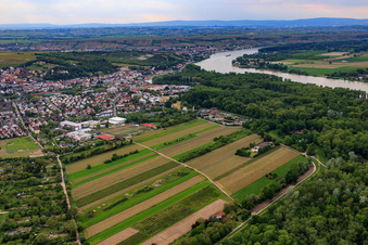Aerial view of Integrated Comprehensive School An den Rheinauen in Oppenheim in the state Rhineland-Palatinate, Germany