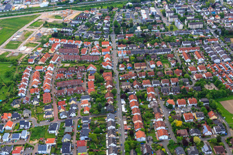 In the Grohfuß in Oppenheim in the state Rhineland-Palatinate, Germany
