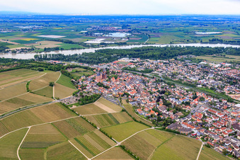Aerial photograpy of City view between vineyards and the Rhine in Oppenheim in the state Rhineland-Palatinate, Germany