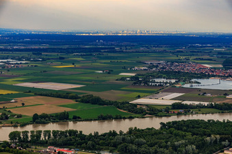 Aerial view of Skyline Frankfurt am Main from the Rhine near Oppenheim in the district Niederrad in Frankfurt am Main in the state Hesse, Germany
