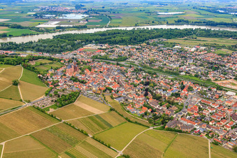 Cemetery and St. Catherine's Church Oppenheim in Oppenheim in the state Rhineland-Palatinate, Germany