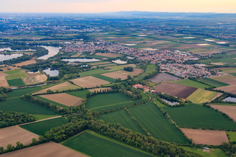 Aerial view of View from the north in the district Bobenheim in Bobenheim-Roxheim in the state Rhineland-Palatinate, Germany