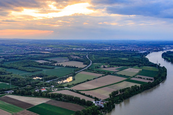 Mouth of the Isenach into the Rhine and Upper Busch in the district Bobenheim in Bobenheim-Roxheim in the state Rhineland-Palatinate, Germany
