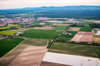 Valley of the gully from the southwest in Bürstadt in the state Hesse, Germany