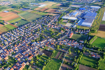 View of the town from the south with the industrial area Industriestraße and FRIGO-TRANS GmbH in Fußgönheim in the state Rhineland-Palatinate, Germany