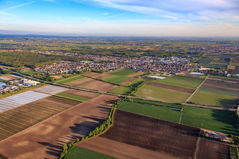 Overview of the town from the southeast in Maxdorf in the state Rhineland-Palatinate, Germany