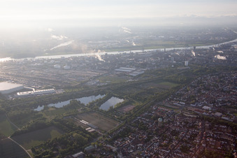 Aerial view of District Oppau in Ludwigshafen am Rhein in the state Rhineland-Palatinate, Germany
