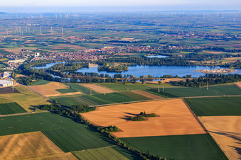 City behind the Silver Lake from the east in the district Roxheim in Bobenheim-Roxheim in the state Rhineland-Palatinate, Germany