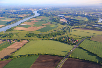 Aerial view of Gut Kirschgartshausen on the Rhine dam in the district Sandhofen in Mannheim in the state Baden-Wuerttemberg, Germany