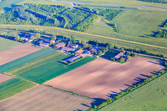 Rheindamm (the High Way to the Rhine) with Karin's Fresh Box in the district Sandhofen in Mannheim in the state Baden-Wuerttemberg, Germany