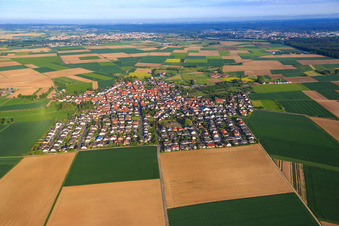 East in the district Semd in Groß-Umstadt in the state Hesse, Germany