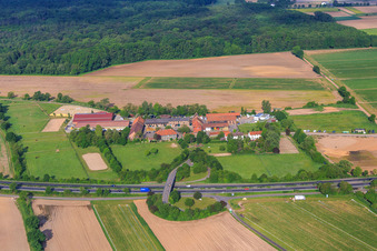 Kinzigheimerhof horse boarding facility in Bruchköbel in the state Hesse, Germany