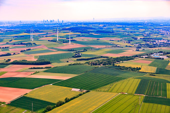 Skyline of Frankfurt am Main from northeast of Schöneck in the district Nordend-West in Frankfurt am Main in the state Hesse, Germany