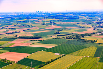 Aerial view of Skyline of Frankfurt am Main from northeast of Schöneck in the district Nordend-West in Frankfurt am Main in the state Hesse, Germany