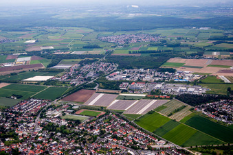 District Sandwiese in Alsbach-Hähnlein in the state Hesse, Germany
