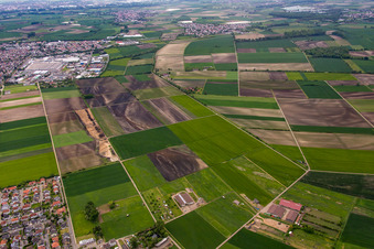 Bürstadt in the state Hesse, Germany out of the air