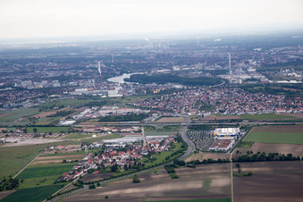 Oblique view of Scharhof, IKEA in the district Sandhofen in Mannheim in the state Baden-Wuerttemberg, Germany