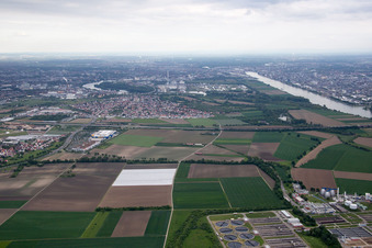 Aerial view of Sewage treatment plant in the district Sandhofen in Mannheim in the state Baden-Wuerttemberg, Germany