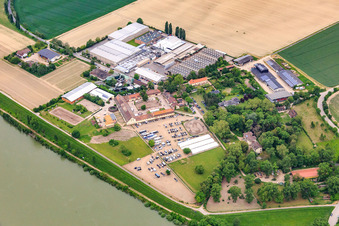 Oblique view of Intersnack Deutschland SE plant in Petersau on the banks of the Rhine and Carlo von Opel riding school at the Demeter Hofgut Petersau in the district Mörsch in Frankenthal in the state Rhineland-Palatinate, Germany