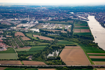 Friesenheim Island in the district Neckarstadt-West in Mannheim in the state Baden-Wuerttemberg, Germany