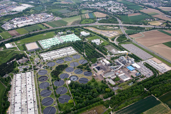 Drone recording of BASF wastewater treatment plant in the district Mörsch in Frankenthal in the state Rhineland-Palatinate, Germany