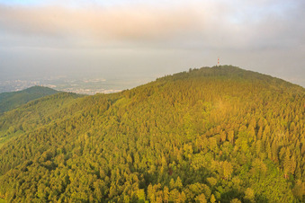 Aerial view of Transmission masts on the Melibokus in the district Hochstädten in Bensheim in the state Hesse, Germany