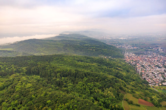 Slopes of the Odenwald in the morning mist from the north in Hemsbach in the state Baden-Wuerttemberg, Germany