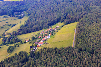 Oberzent/Falken-Gesäß