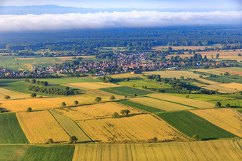 Fields and meadows to the Bienwald in Kapsweyer in the state Rhineland-Palatinate, Germany