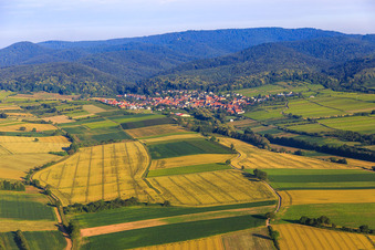 Fields and vineyards to the Palatinate Forest in Oberotterbach in the state Rhineland-Palatinate, Germany
