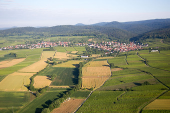 District Rechtenbach in Schweigen-Rechtenbach in the state Rhineland-Palatinate, Germany out of the air