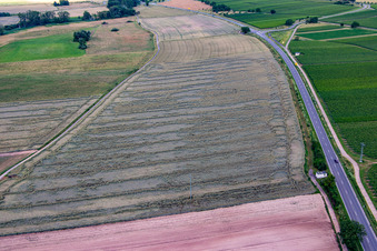 Aerial photograpy of Grain field with storm damage in the district Geinsheim in Neustadt an der Weinstraße in the state Rhineland-Palatinate, Germany