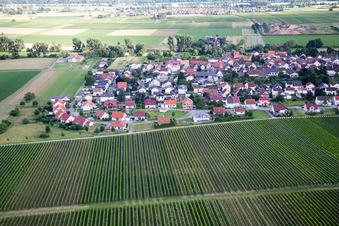 Oblique view of District Duttweiler in Neustadt an der Weinstraße in the state Rhineland-Palatinate, Germany