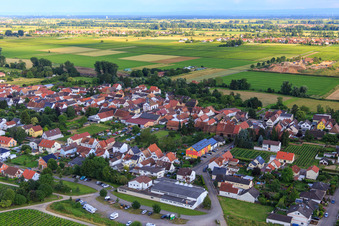 Aerial photograpy of Red Bone Dog School in the district Duttweiler in Neustadt an der Weinstraße in the state Rhineland-Palatinate, Germany