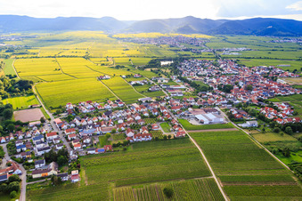Aerial view of View of the town from the east in Kirrweiler in the state Rhineland-Palatinate, Germany