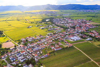 Aerial photograpy of View of the town from the east in Kirrweiler in the state Rhineland-Palatinate, Germany