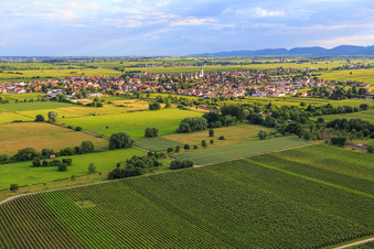 View of the town from the northeast in Edesheim in the state Rhineland-Palatinate, Germany