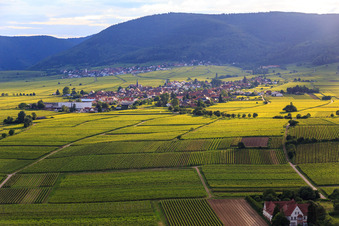Aerial photograpy of View of the town from the east in Rhodt unter Rietburg in the state Rhineland-Palatinate, Germany