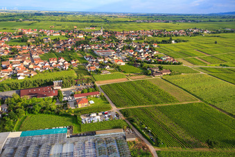 Aerial photograpy of View from the north with garden center Edesheim GmbH in Edesheim in the state Rhineland-Palatinate, Germany