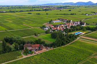 Aerial photograpy of Erlenmühle Winery in Edesheim in the state Rhineland-Palatinate, Germany