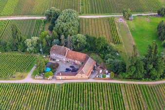 Oblique view of Erlenmühle Winery in Edesheim in the state Rhineland-Palatinate, Germany